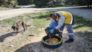 Buca'da sokak hayvanları unutulmuyor