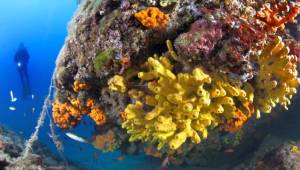 İzmir Körfezi'nden tablo gibi kareler