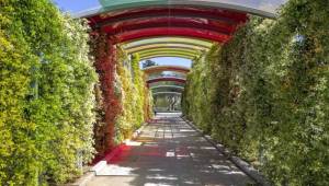 İzmir'den iç açıcı görüntüler