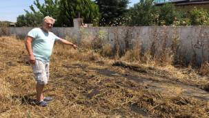 Foça'dan "Pis Kokular" Geliyor!