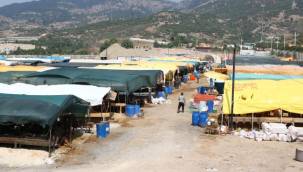 Kurban satış yerlerine ücretsiz servis