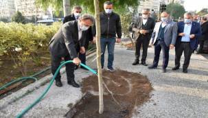 2 yılda 16 bin fidan 