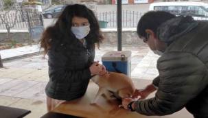 Aliağa'da Tek Tırnaklı Hayvanlara Çipli Takip