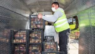 İzmir Büyükşehir Belediyesi'nden yeni dayanışma hamlesi