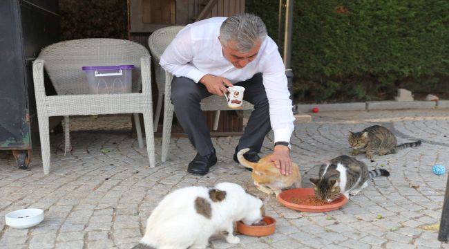 Güzelbahçe'den 'Satın Alma, Sahiplen' Çağrısı 