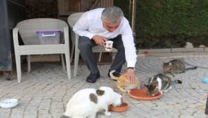 Güzelbahçe'den 'Satın Alma, Sahiplen' Çağrısı 