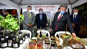 Bornova'da Zeytin Yetiştirme Teknikleri eğitimi