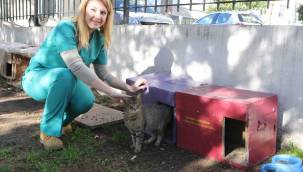 Can dostlar Bayraklı Belediyesi'ne emanet!