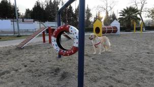 Gaziemir'de köpeklere özel park açıldı