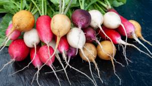 Turp İle Gelen 8 Fayda