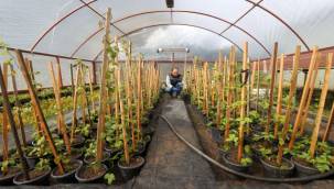 Buca'dan Sürdürülebilir Kent