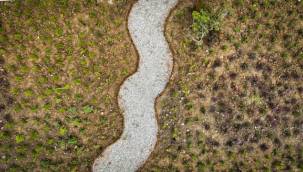 "Doğa Şehirde" Projesi Çalışmaları Devam Ediyor