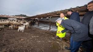 Mera İzmir Projesi Kapsamında İlk Süt Alımları Başladı