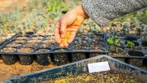 Seferihisar'da "Başka bir tarım mümkün" Projesi