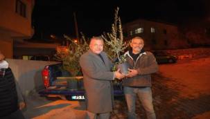 Üreticiye "Zeytin Budama Eğitimi"