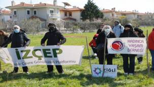 Zeytin Ağaçları İçin Stk'lar Bir Araya Geldi