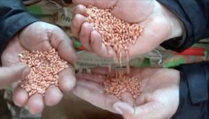 Başkan Soyer yardımını Kars'a uzatıı