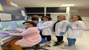 "Omurilik hasarı tedavisine çığır açacak çözüm"