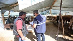 Bayraklı'da kesintisiz hizmet