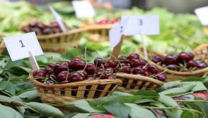Kiraz Festivaline Yoğun İlgi
