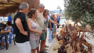 Ardıç'ın gizemi heykeller ile ölümsüzleşti