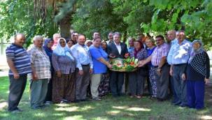 Atalık tohumlarda hasat