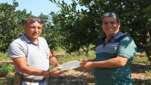 Güzelbahçe Belediyesi'nden Üreticiye Desteğe Devam