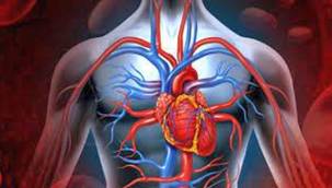 Kalp Hastalıklarından Korunabilmek İçin Önemli Bilgiler!