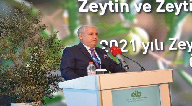 "Zeytin zeytinyağı ihracat destekleri %85 eridi"