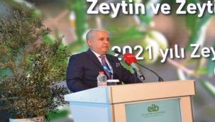 "Zeytin zeytinyağı ihracat destekleri %85 eridi"