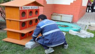 Bayraklı Belediyesi'nden kedilere yeni yıl hediyesi