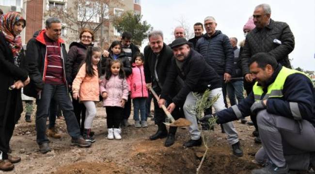 Bornova'da ağaçların sahibi var