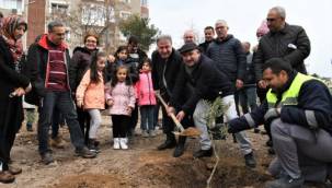 Bornova'da ağaçların sahibi var