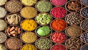 Dünyanın tarım ambarı Ege Bölgesi 2022 yılında da liderliğini korudu