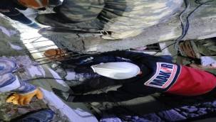 Enkazdan kurtarılan kediye MAKUR desteği