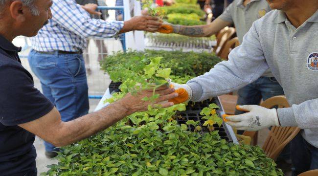 Efes Selçuk'ta sofralar bereketlenecek