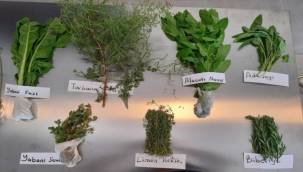 EÜ'den Çeşme'de ücretsiz gastronomi akademisi