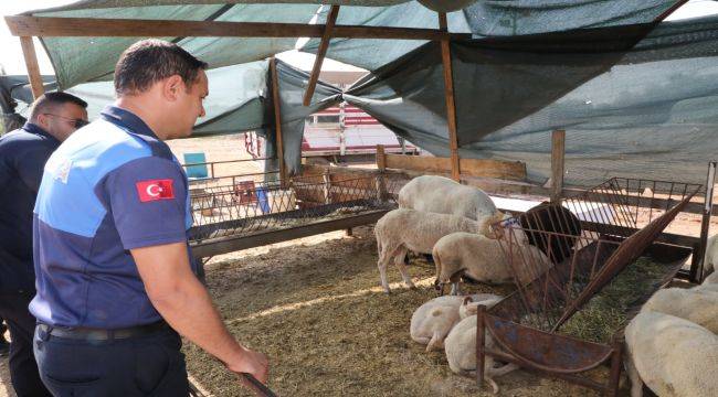 Menderes'te Kurban Denetimi