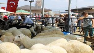 Ödemiş'te kurban satış ve kurban kesim yerleri belli oldu