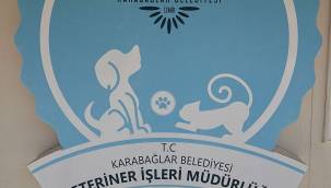 Artık yoğun bakım üniteleri de var!