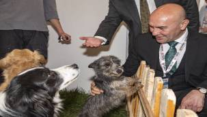 7.Uluslararası Evcil Hayvan Ürün Fuarı İçin İzmir Gün Sayıyor