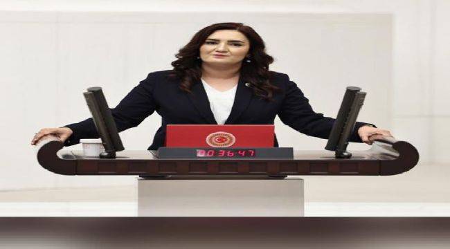 CHP İzmir Milletvekili Sevda Erdan Kılıç: