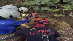 Bir aydır kayıp olan Pamuk'u İzmir İtfaiyesi sahibine kavuşturdu