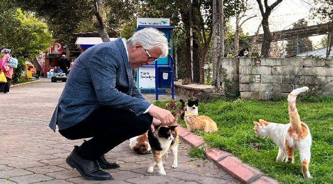 Buca'ya Sokak Hayvanları İçin Modern Tesis