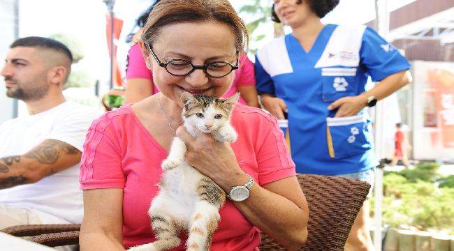 Karşıyaka Belediyesi'nden can dost sahiplerine hayati uyarı