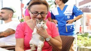 Karşıyaka Belediyesi'nden can dost sahiplerine hayati uyarı