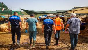 Kurban seçerken dikkat!