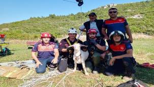 Yürekleri Isıtan Kurtarma Operasyonu