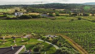 Oylama 25 Ocak Tarihine Kadar Sürecek