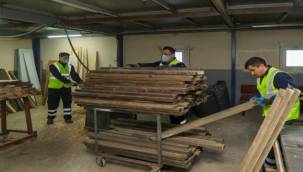 Budanan Ağaçlar Geri Dönüştürülüyor